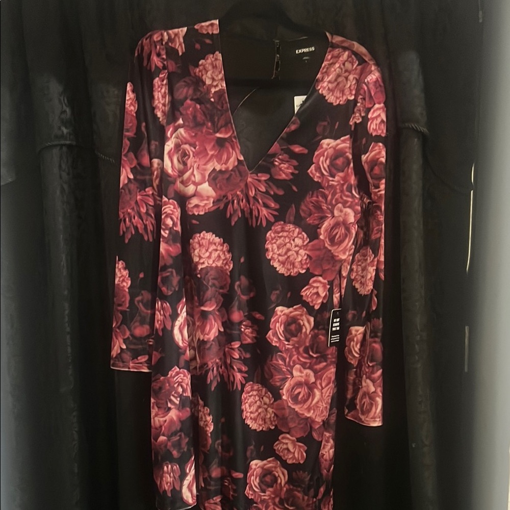 Express Floral V-Neck Dress - Pink and Black